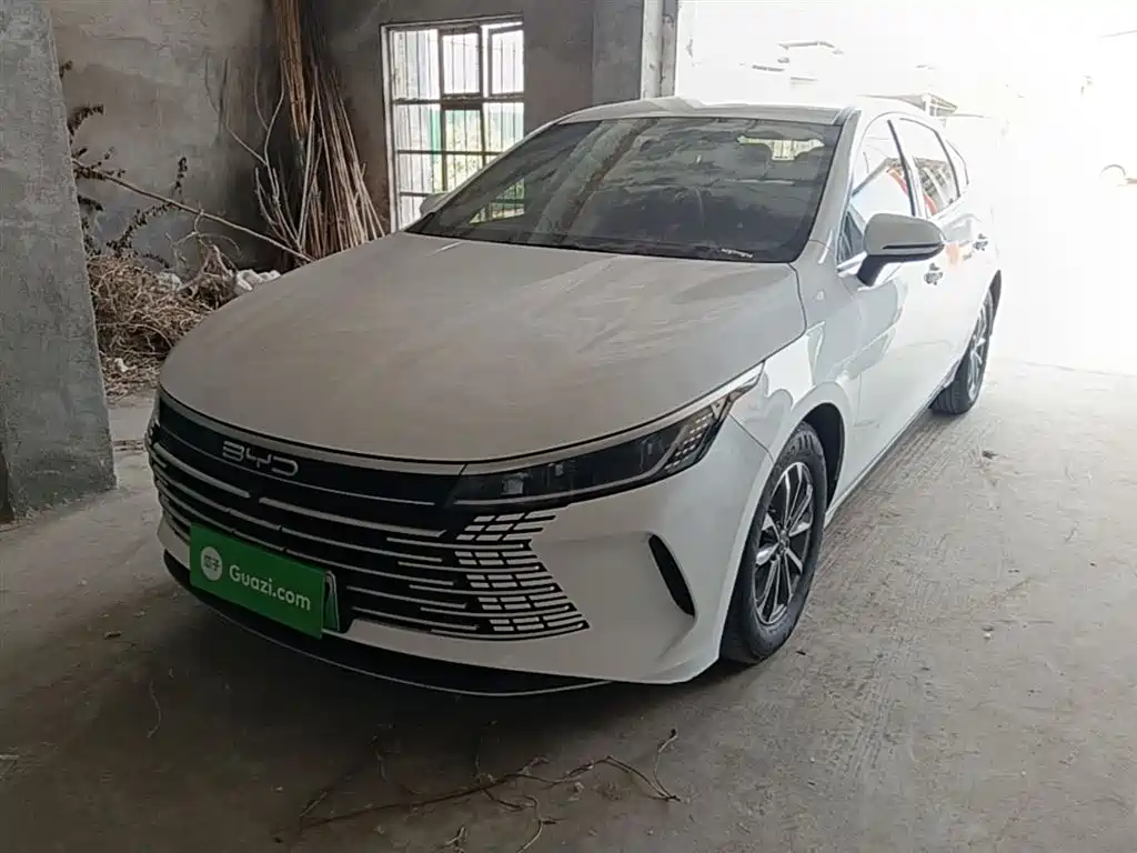 BYD Destroyer 05 2024 Glory Edition DM-i 55KM Luxury