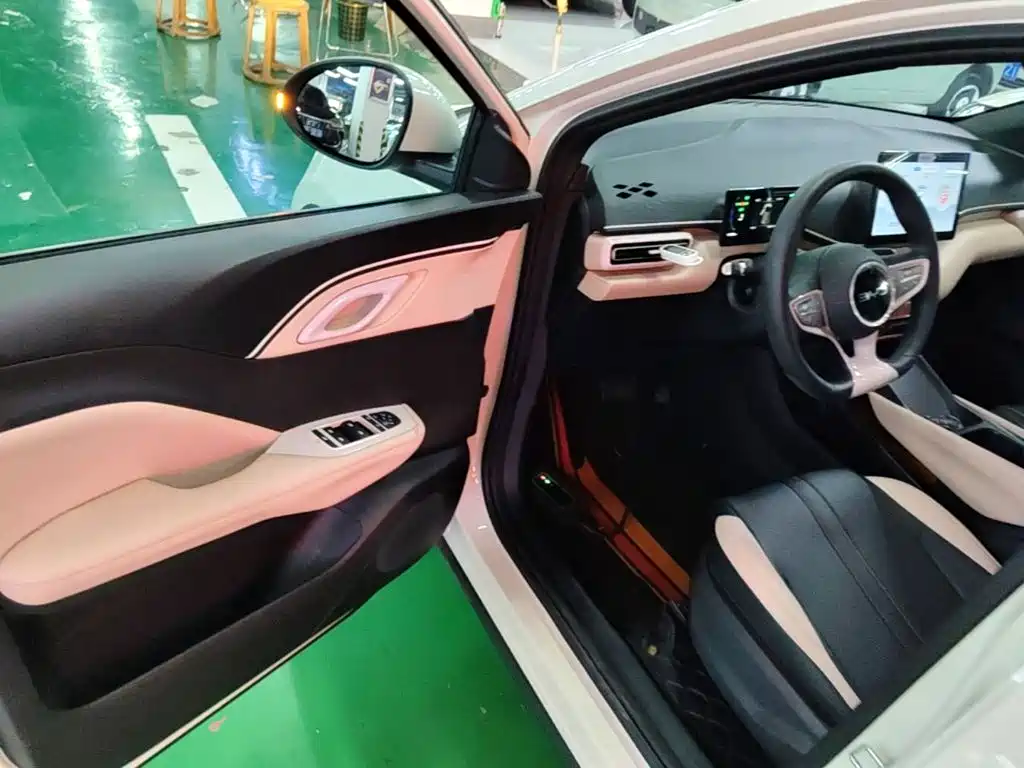 BYD Seagull 2026 2025 Smart Drive Edition 305km Vitality Version