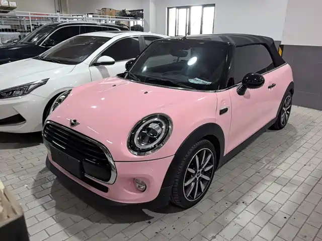 MINI 2019