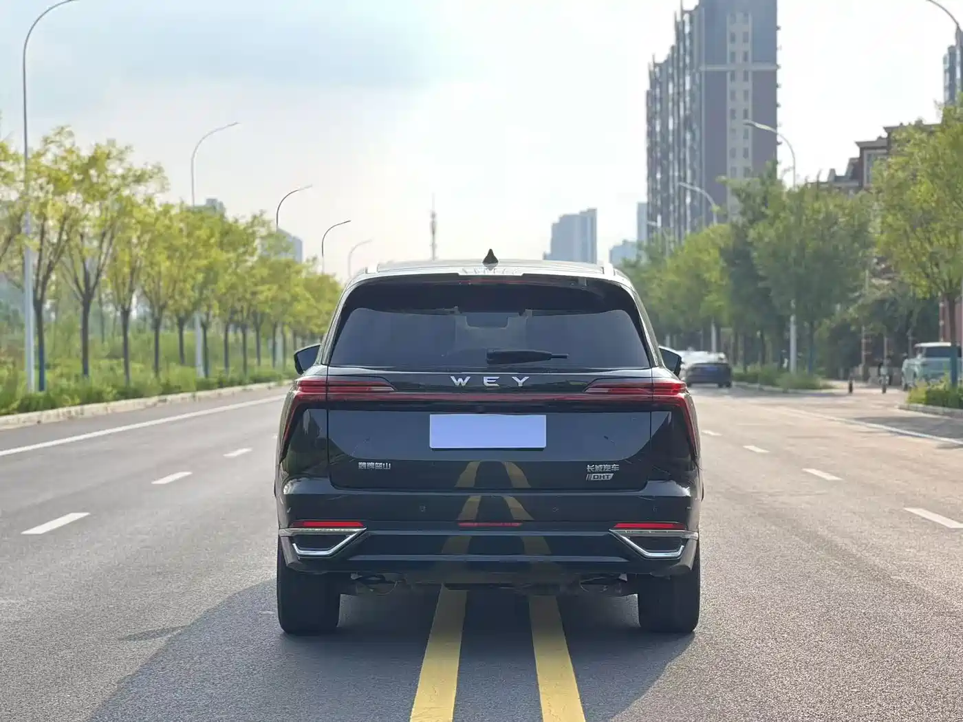 WEY Lanshan 2023 2023 AWD Ultra Long Range Edition