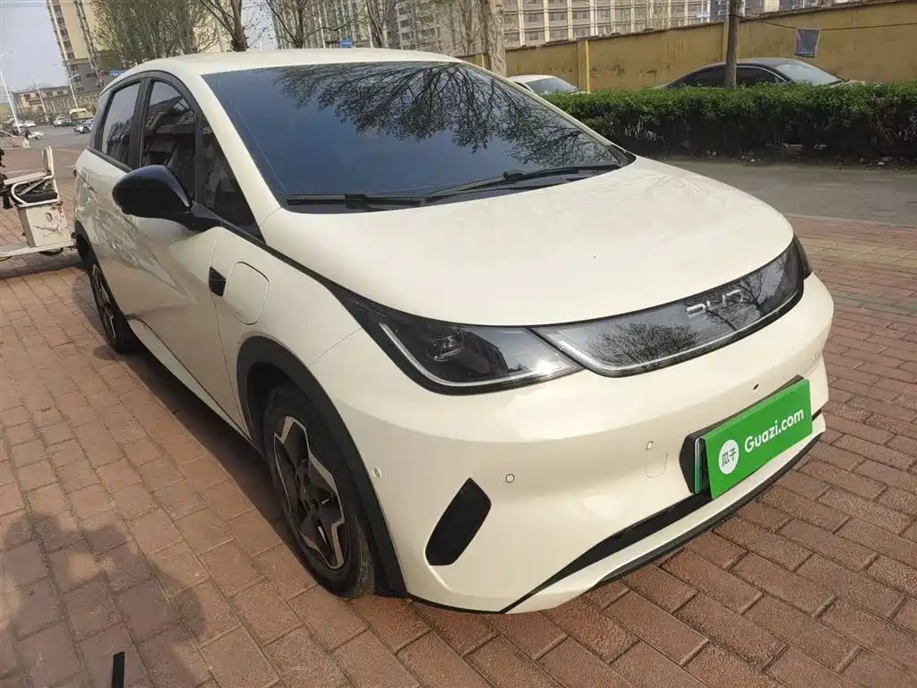 BYD Dolphin 2025 Smart Drive Edition 420km Freedom Version фото 4