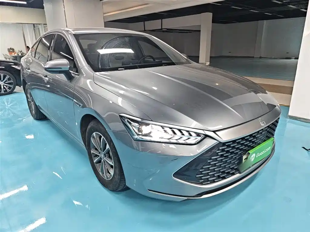 BYD Qin PLUS 2024 Glory Edition DM-i 55KM Leading фото 4