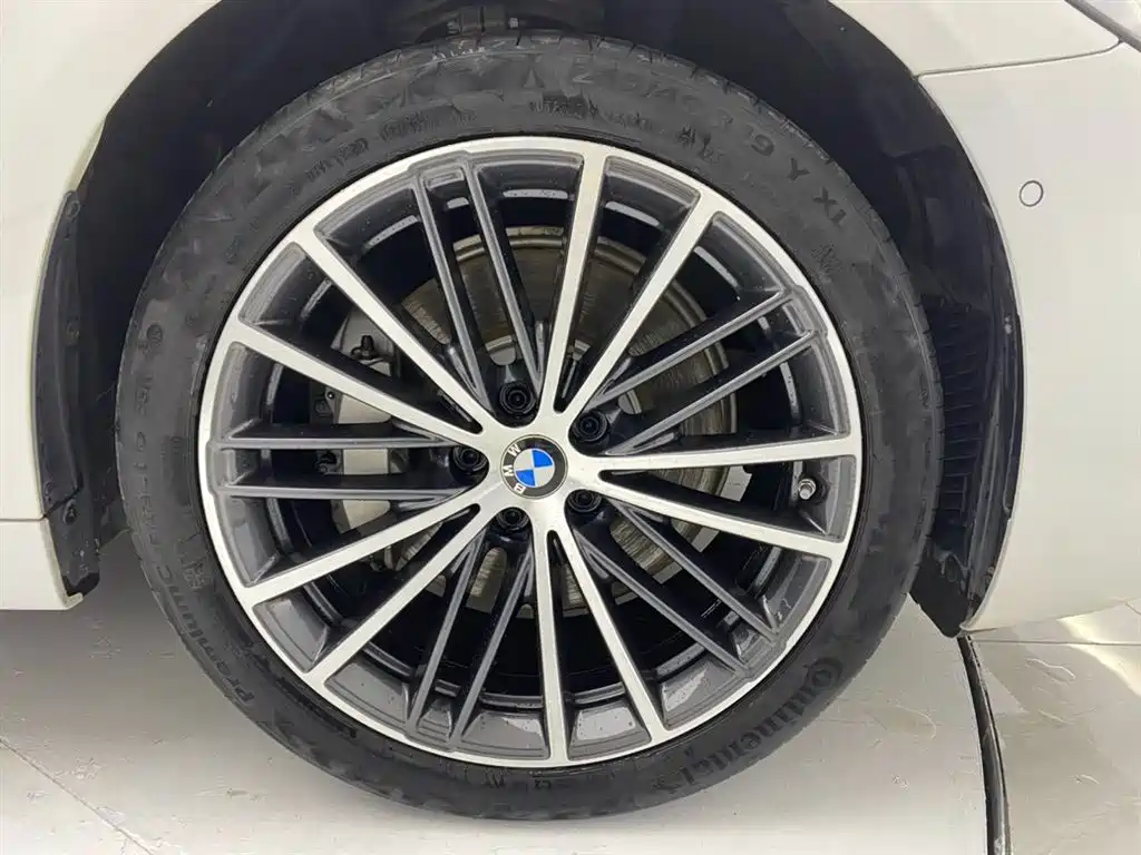 BMW 5 Series 2021 530Li Leading M Sport Package фото 11