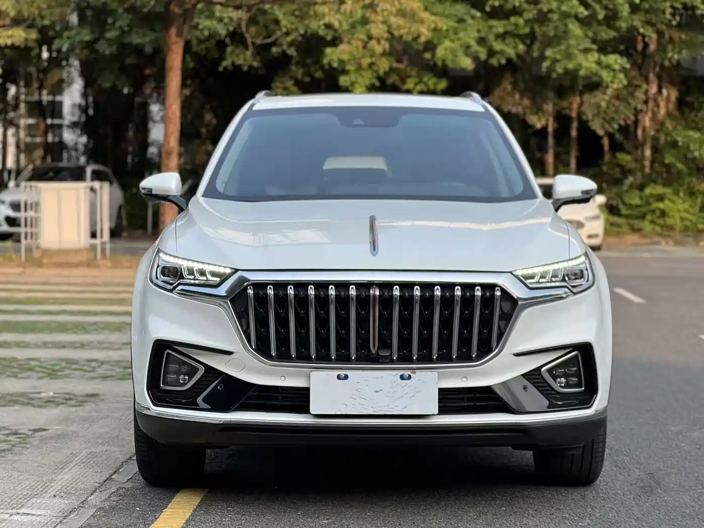 Hongqi HONGQI HS5