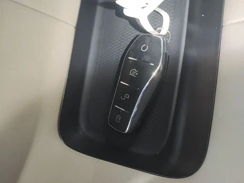 BYD Dolphin 2021 Model 405km Fashion Edition фото 17