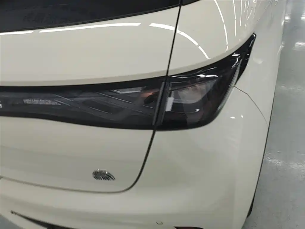 BYD Dolphin 2021 Model 405km Fashion Edition фото 24