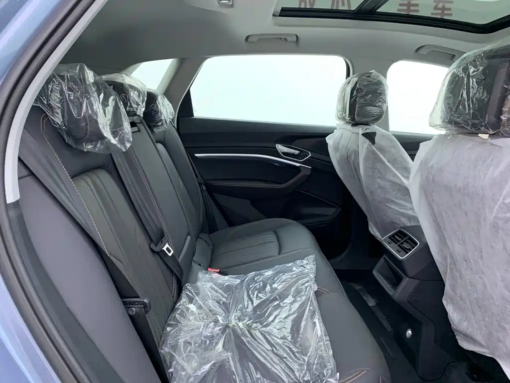 Audi e-tron 2026 2021 50 quattro Luxury