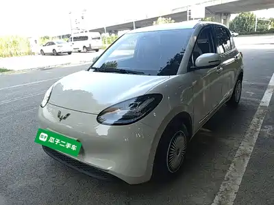 Wuling Bingo