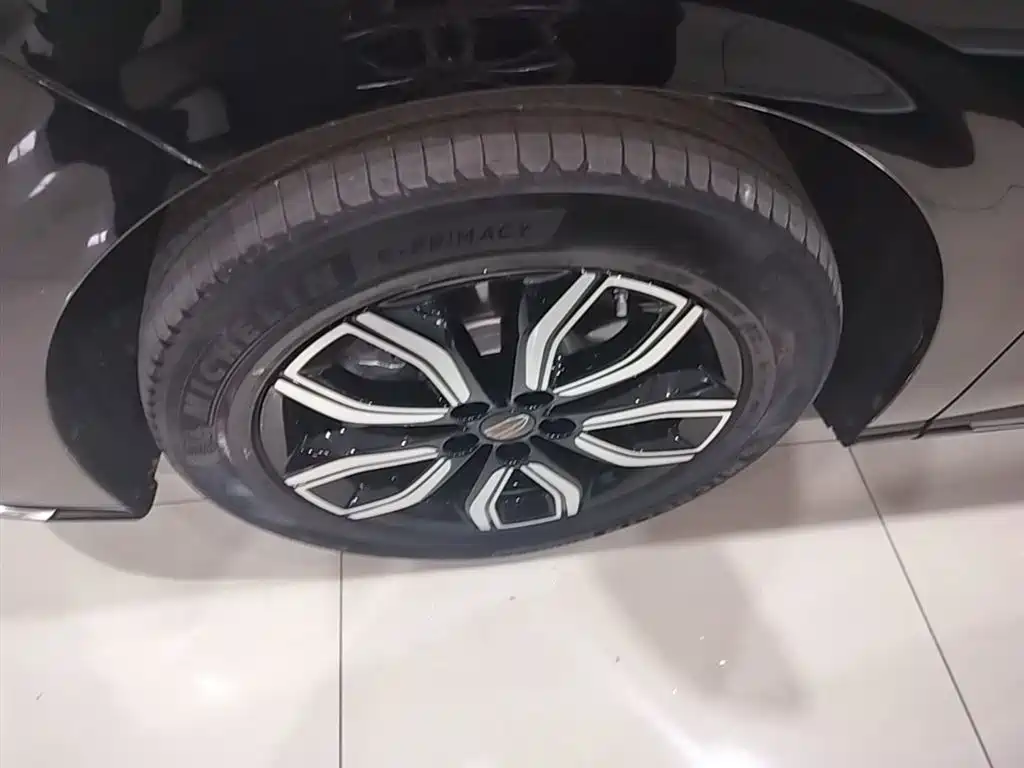 Hongqi HQ9 2023 2.0T Smart Connect Flagship фото 23