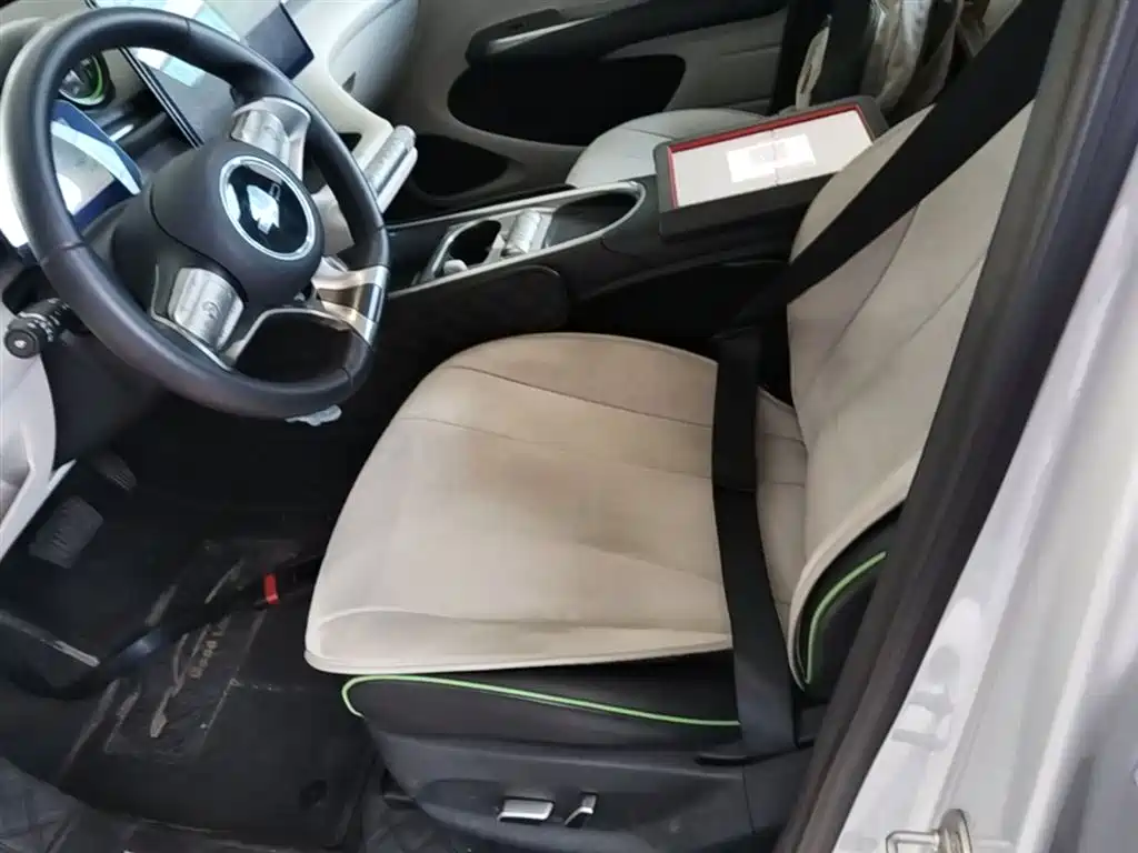 BYD Dolphin 2021 Model 405km Fashion Edition фото 15
