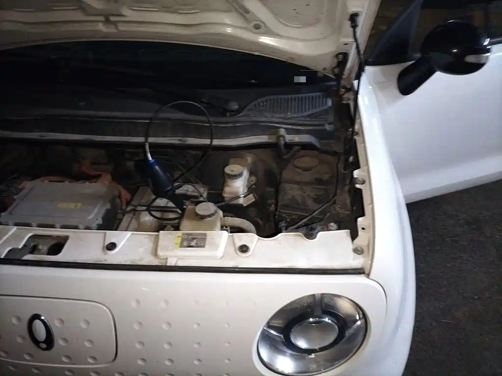 Ora Black Cat 2022 2022 Facelift 301km Pet Edition LFP Version