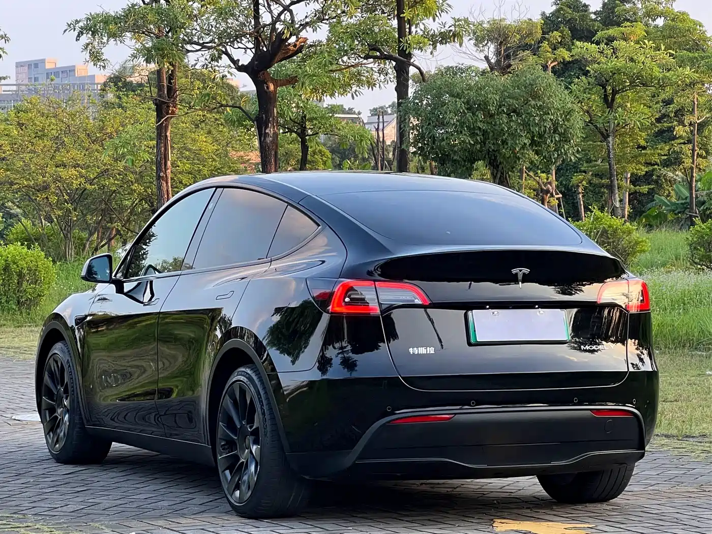 Tesla Model Y 2021 2021 Standard Range Rear-Wheel Drive