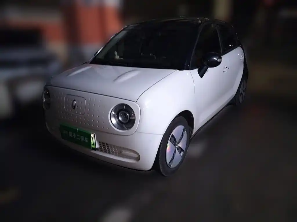 Ora Black Cat 2022 2022 Facelift 301km Pet Edition LFP Version