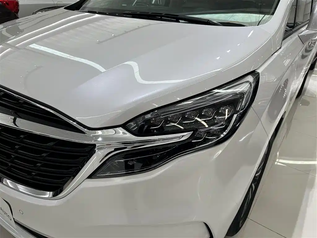 Buick GL8 2022 ES Landmark 653T Premium фото 4