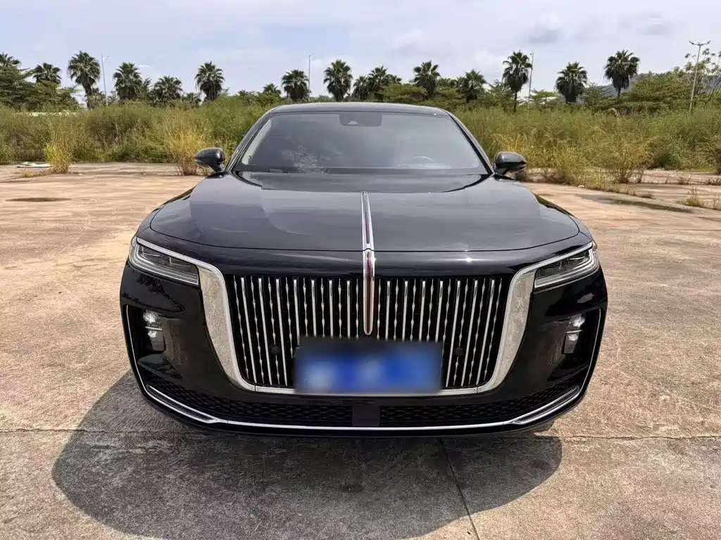 Hongqi H9 2020 2020 3.0T Smart Connection Qi Chang Edition