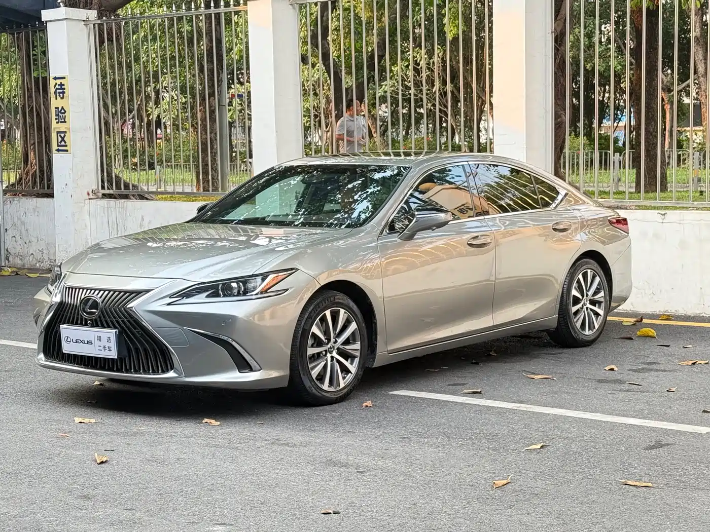 Lexus ES 2018 200 Luxury Edition China V