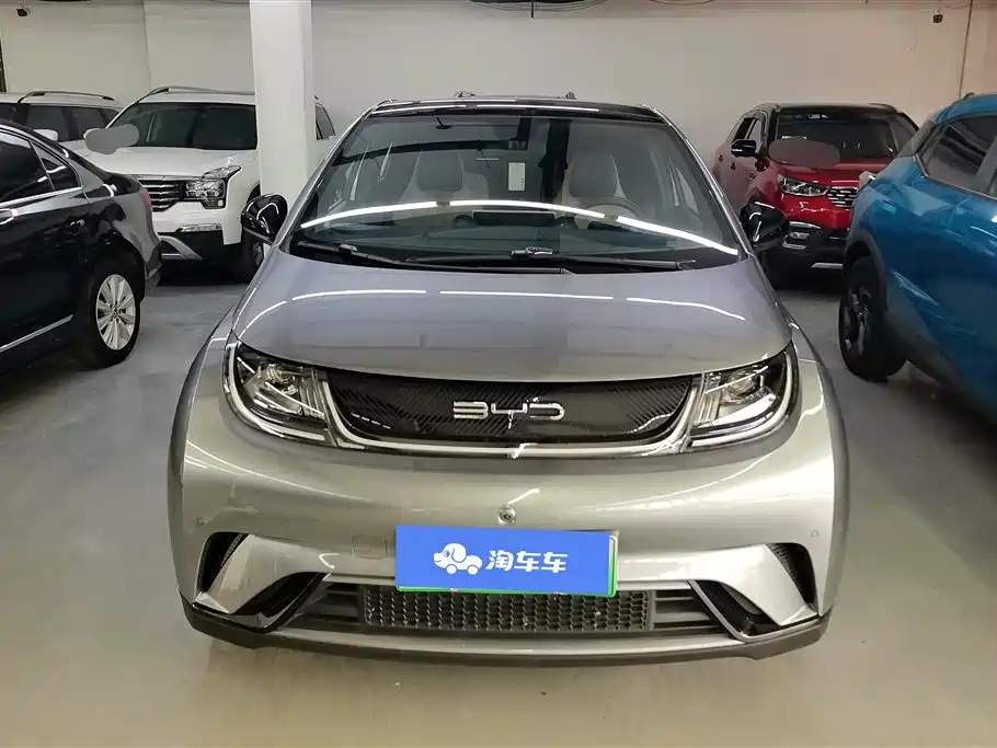 BYD DOLPHIN