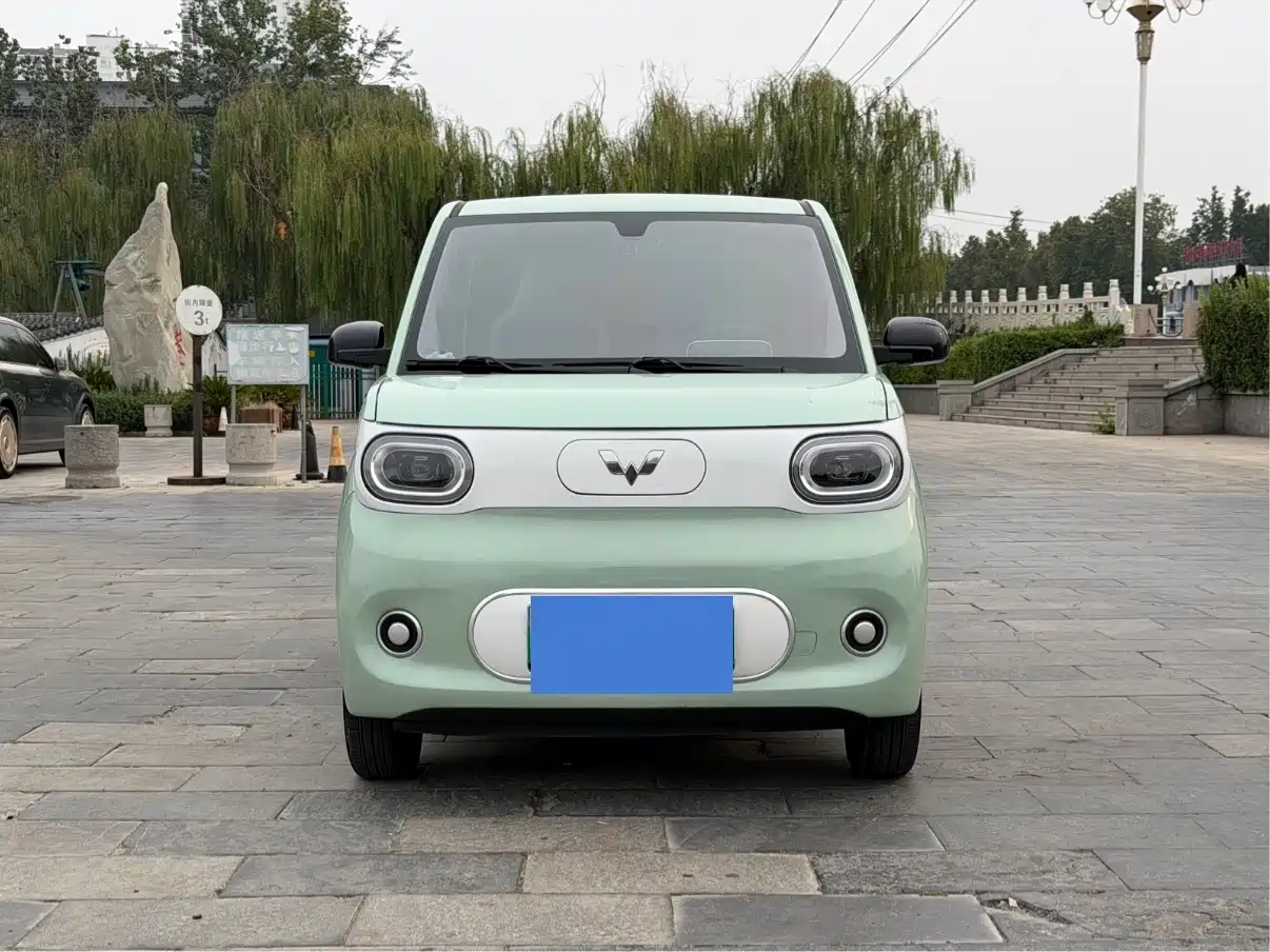 Фото 2 - Wuling Motors Hongguang MINIEV