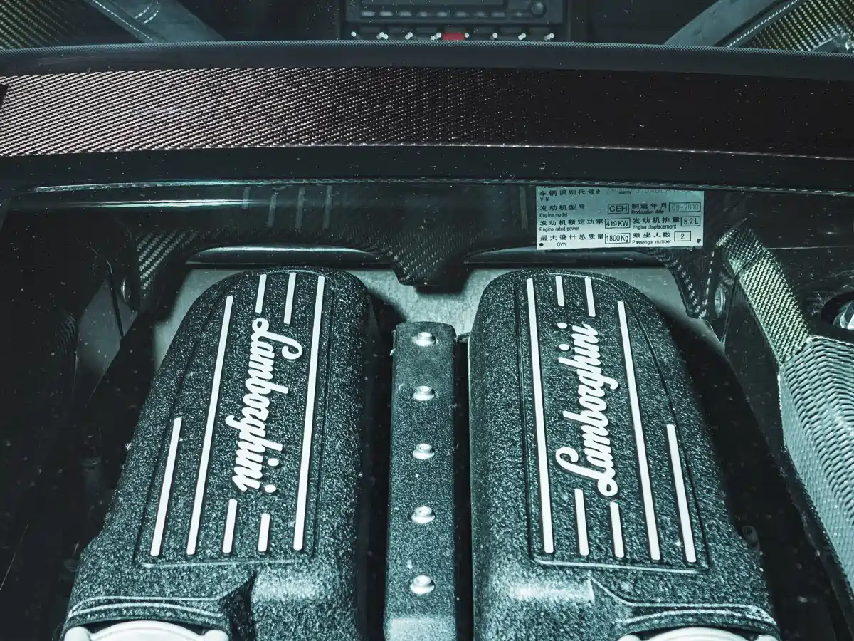 Lamborghini Gallardo 2011 LP 570-4 Superleggera фото 10