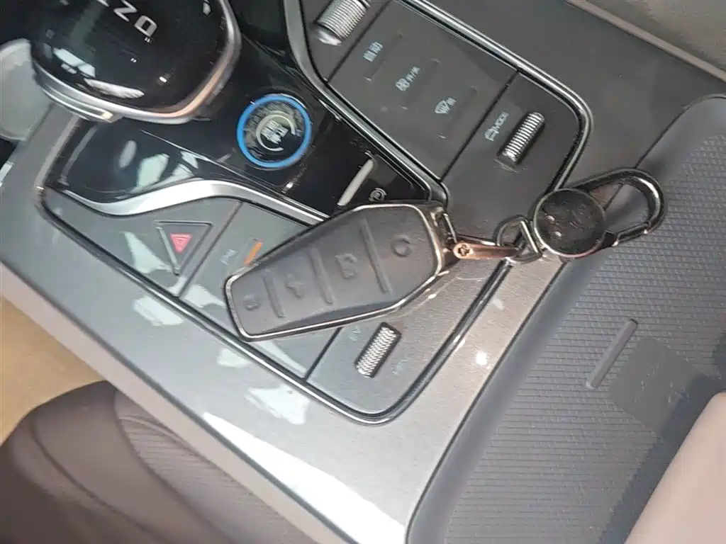 BYD Tang New Energy 2025 DM-i 115KM Premium фото 9