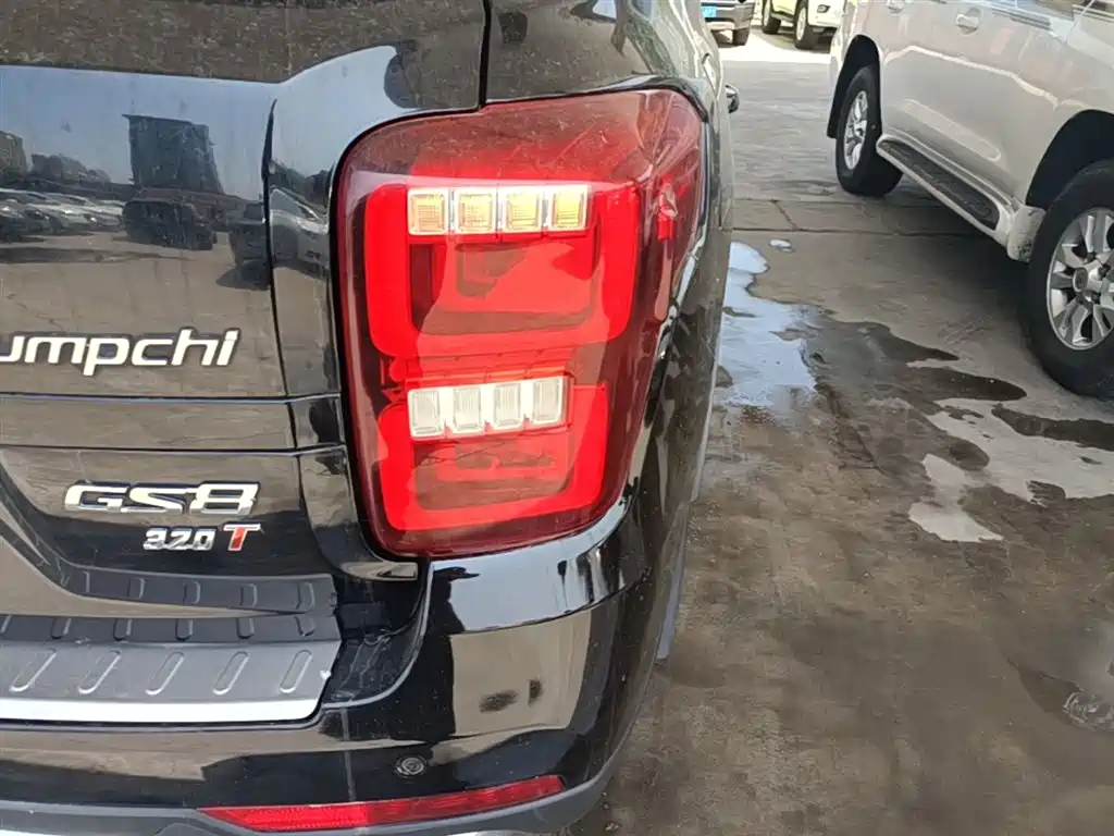GAC Trumpchi Trumpchi GS8 2017 320T 2WD Luxury Smart Connect (7-seater) фото 8