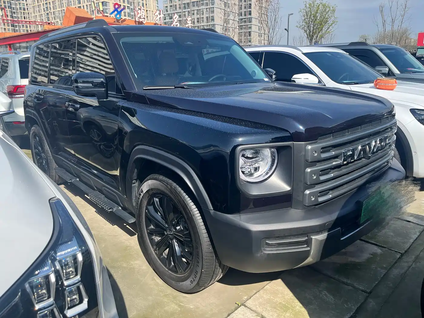 HAVAL RAPTORS NEW ENERGY