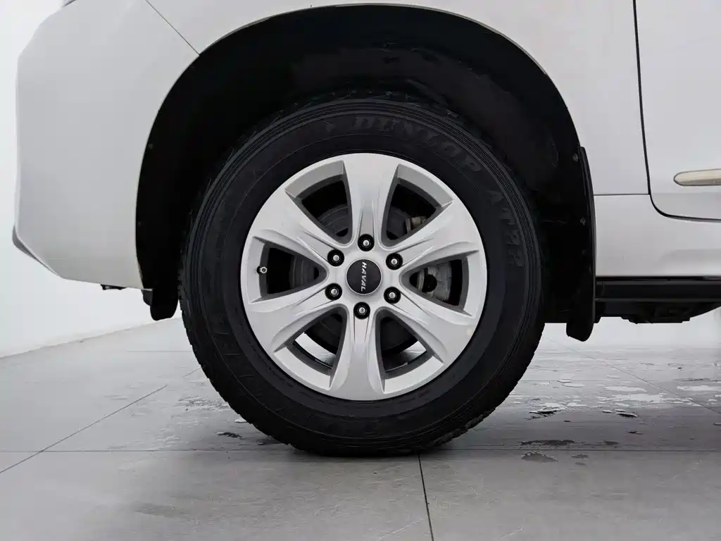 Фото 17 - Haval H9