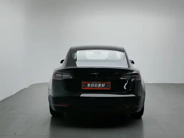 Tesla Model 3 2019 Standard Range Rear-Wheel Drive Upgrade — фото 4