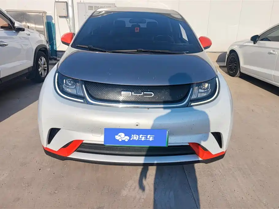 BYD Dolphin 2021 Model 405km Fashion Edition фото 2