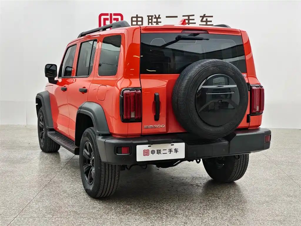 Tank 300 2023 Off-Road Edition 2.0T Conqueror фото 3