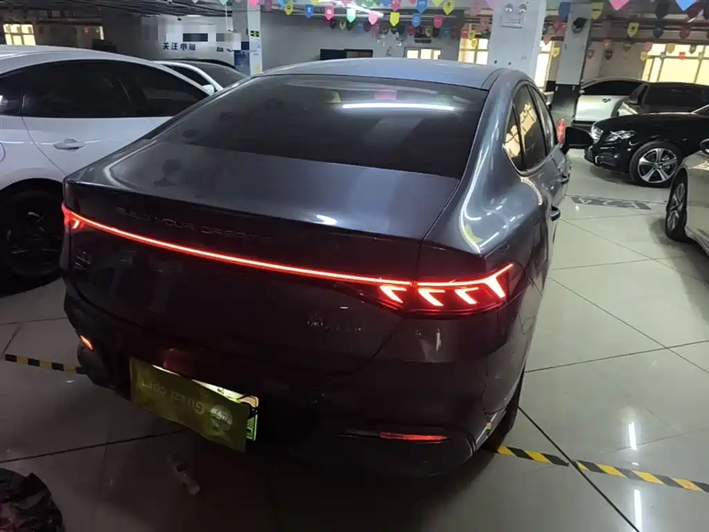 BYD Qin PLUS 2024 Glory Edition DM-i 55KM Leading фото 8