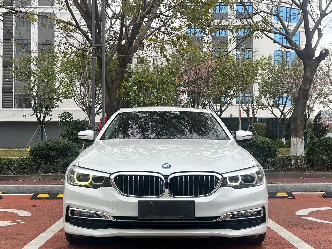 BMW 5 Series 2018 530Li Leading Luxury Package фото 2