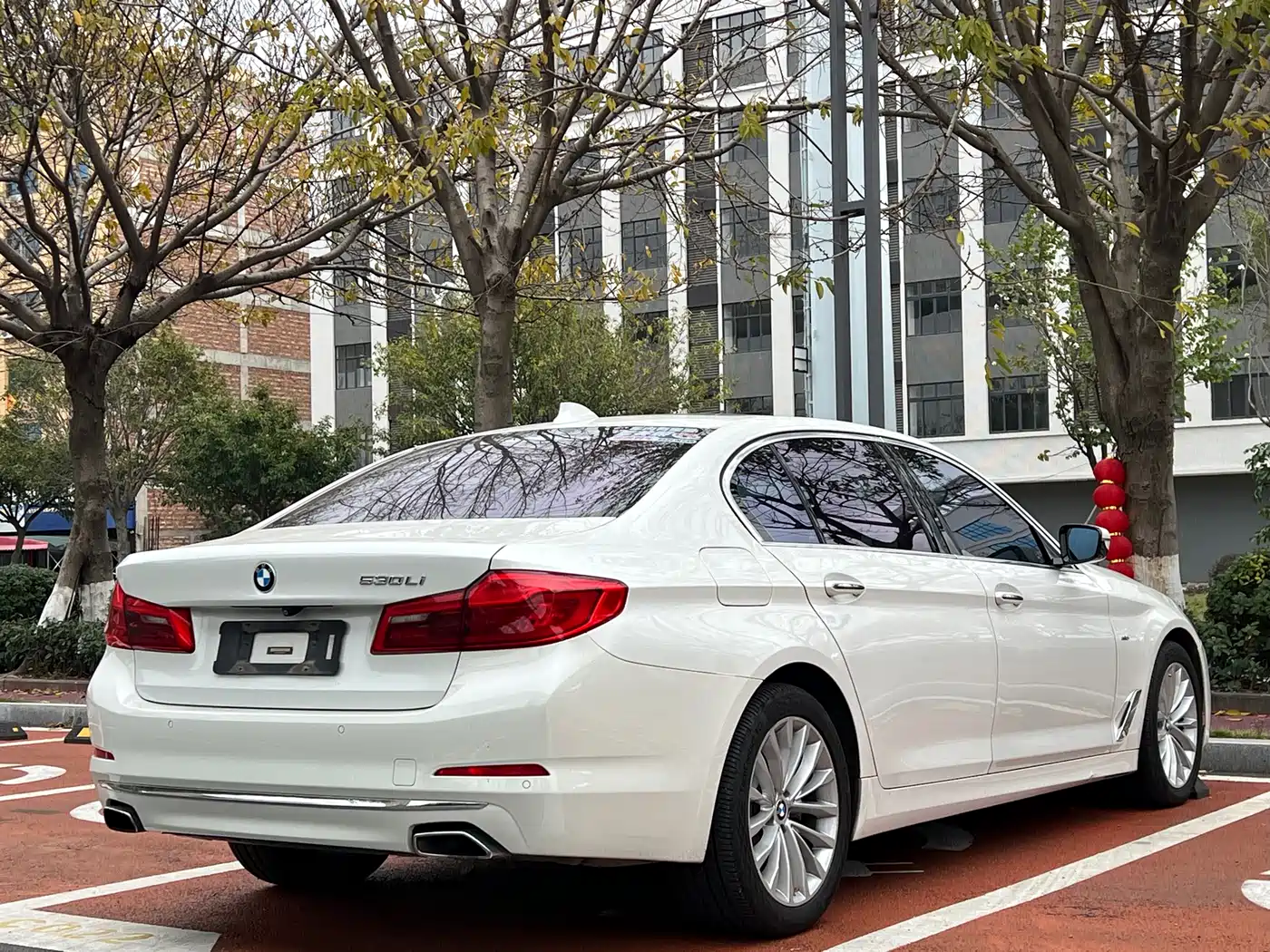 BMW 5 Series 2018 530Li Leading Luxury Package фото 9