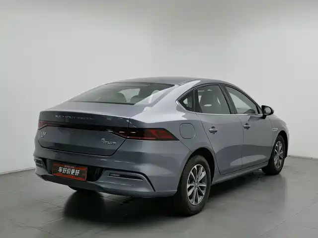 BYD Qin PLUS 2024 Glory Edition DM-i 55KM Leading — фото 2