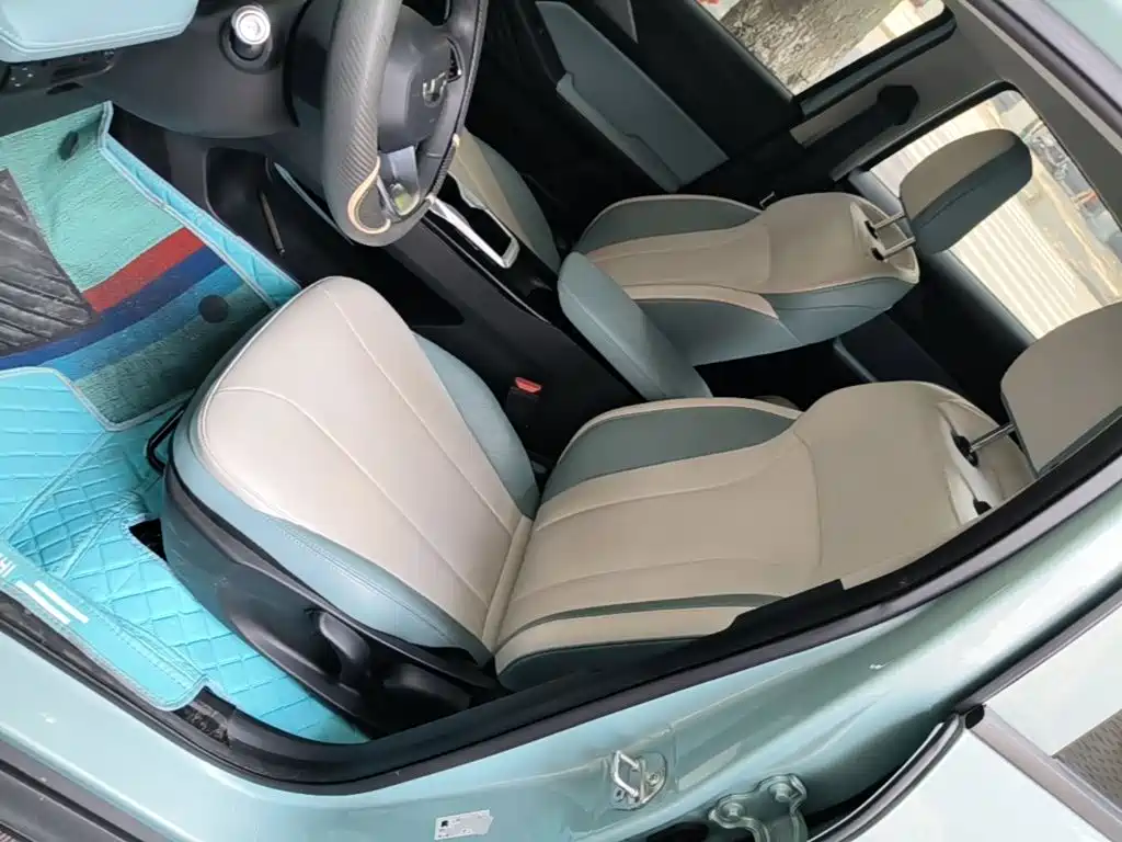 Geely Geometry E Firefly 2024 2024 Model 301km Starlight