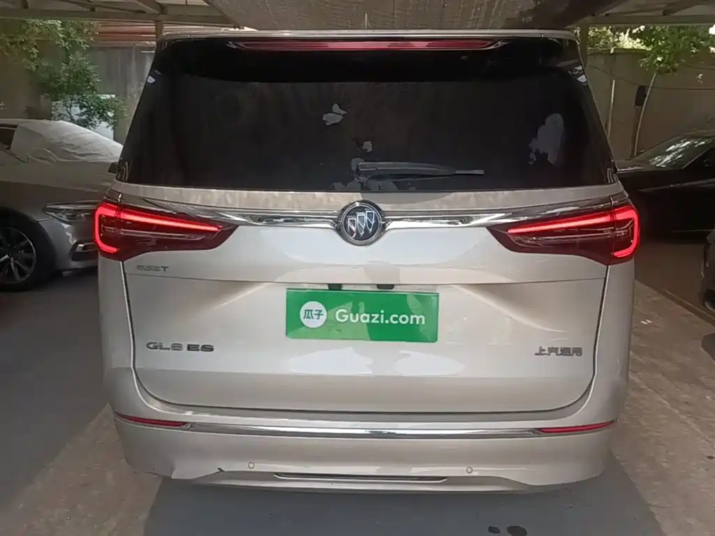 Buick GL8 2022 ES Landmark 653T Premium фото 6