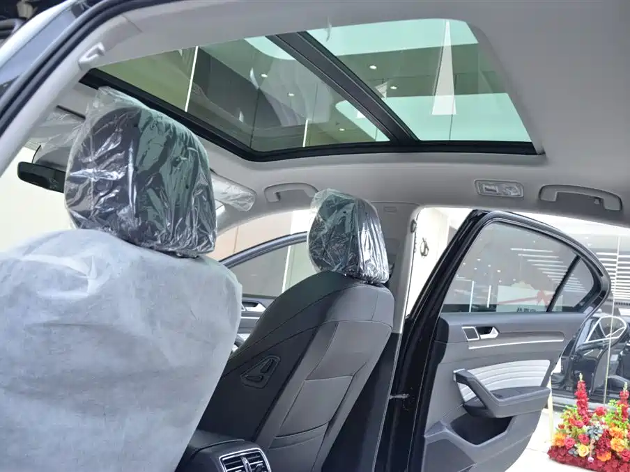 Volkswagen Magotan 2026 Model 30 Million Special Selection 380TSI DSG Luxury фото 14