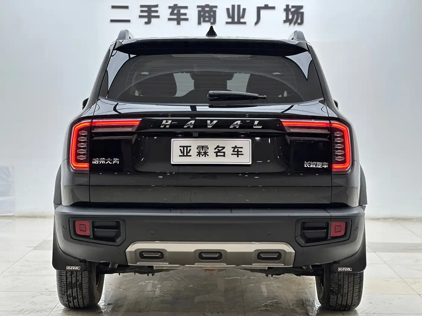 HAVAL BIG DOG