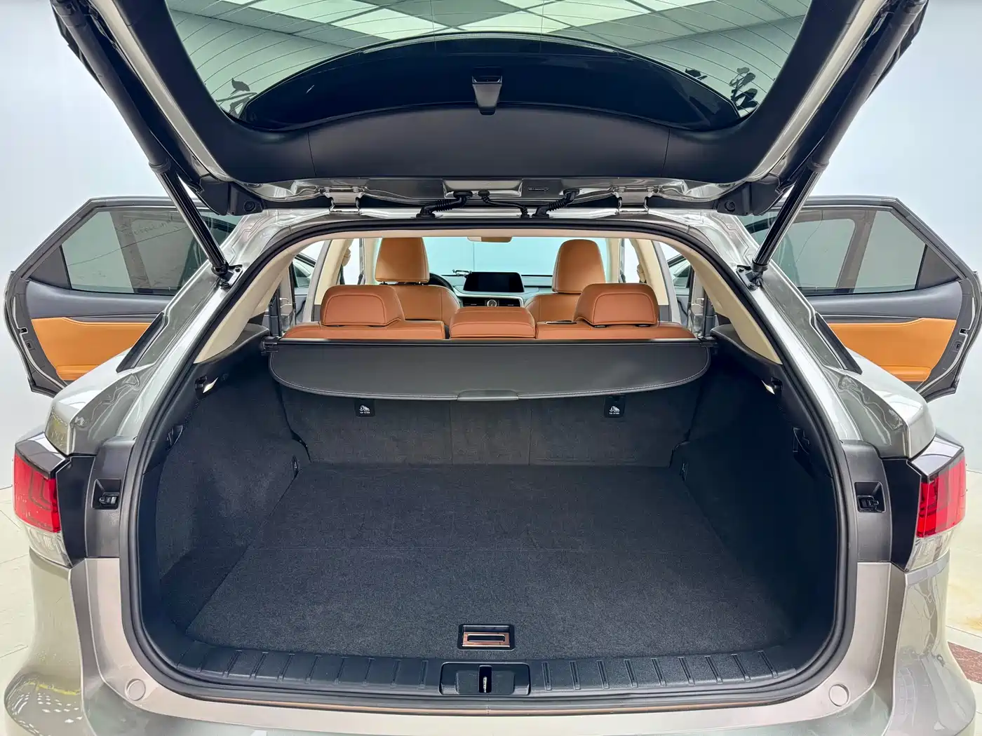 Lexus RX 2020 300 4WD Elegance Edition China VI фото 23