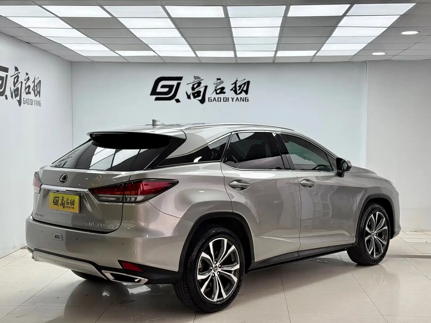 Lexus RX 2020 300 4WD Elegance Edition China VI фото 26