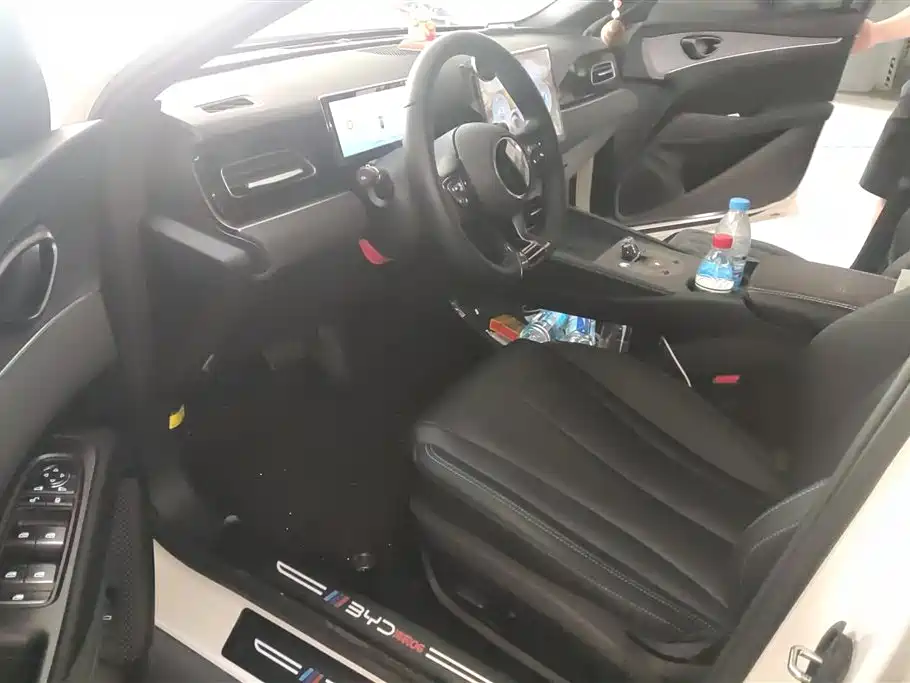 BYD Seal 06 New Energy 2024 DM-i 80KM Prestige фото 9