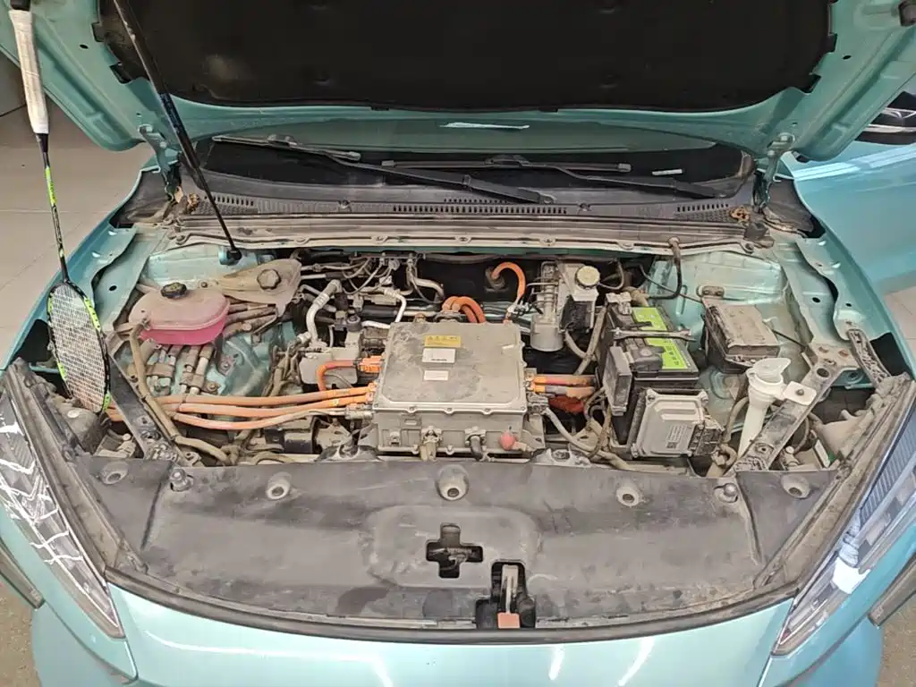 JMCG New Energy Yi 2022 2021 500km Shining Youth Long Range Edition
