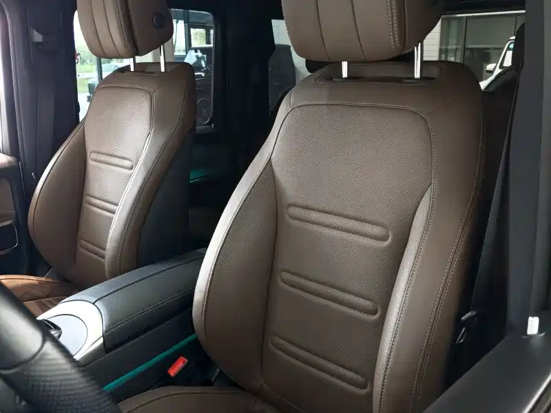Mercedes-Benz G-Class 2020 G 350 фото 10