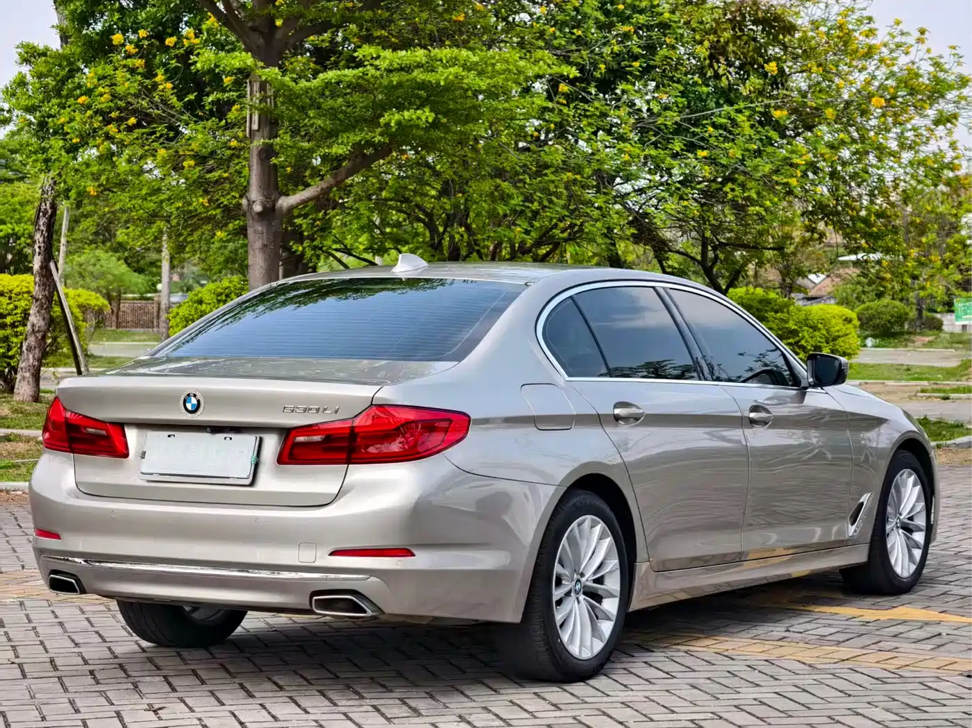 BMW 5 Series 2019 525Li Luxury Package фото 7