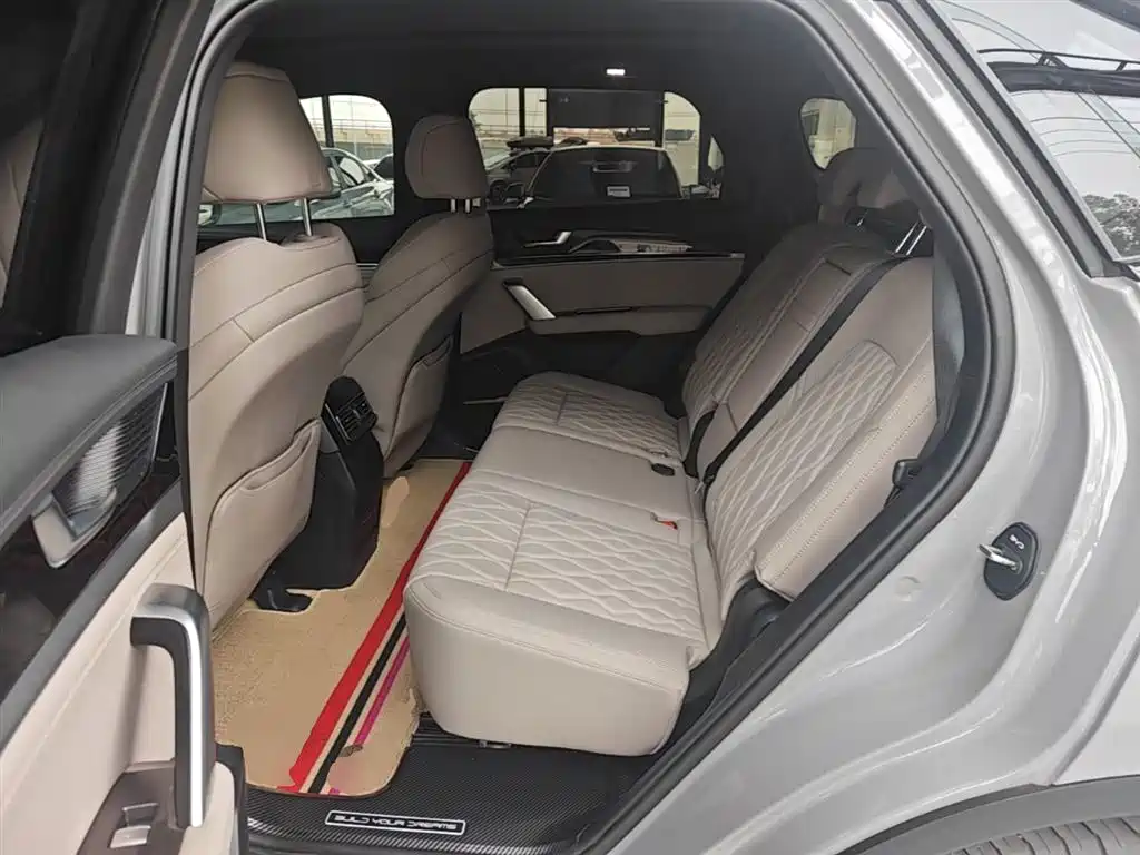 BYD Tang New Energy 2025 DM-i 115KM Premium фото 17