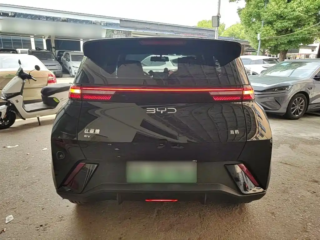 BYD Seagull 2024 Glory Edition 305km Vitality Edition фото 6