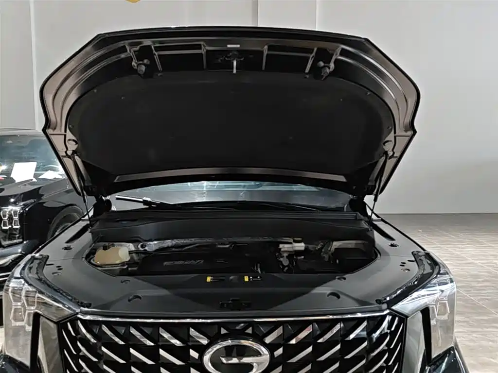 GAC Trumpchi Trumpchi GS8 2022 Pilot Series 2.0TGDI 4WD Luxury Smart Connect Edition (7-Seater) фото 20