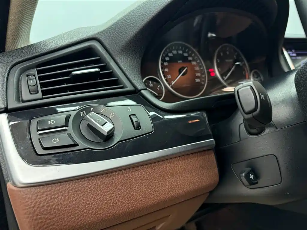 BMW 5 Series 2017 520Li Classic Edition фото 8