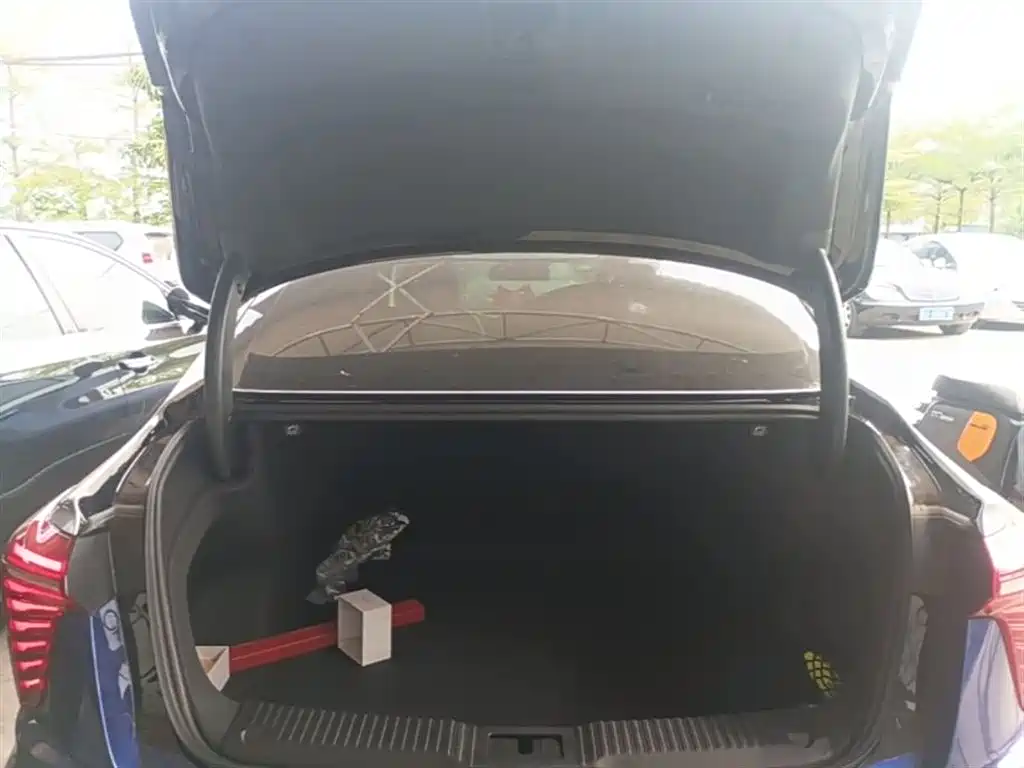 Hongqi H5 2024 2.0T Automatic Smart Connect Flag Smooth Edition фото 12