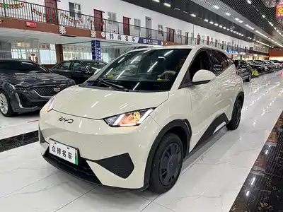 BYD Seagull